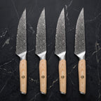Tomoe 4-Piece Steak Knife Set, Pale Ash