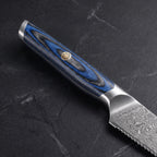 Tomoe 2-Piece Steak Knife Set, Blue Pakkawood