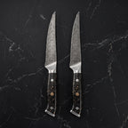 Hane 2-Piece Steak Knife Set, Carbon Fibre