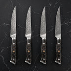 Hane 4-Piece Steak Knife Set, Carbon Fibre