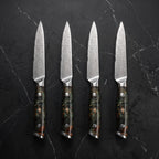 Moegi 4-Piece Steak Knife Set
