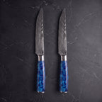 Aoshio 2-Piece Steak Knife Set