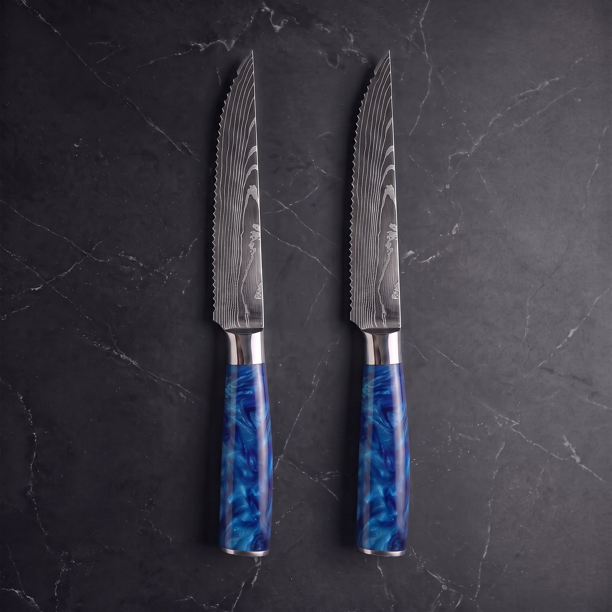 Aoshio 2-Piece Steak Knife Set