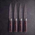 Akane 4-Piece Steak Knife Set
