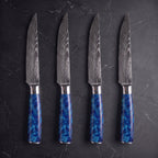 Aoshio 4-Piece Steak Knife Set