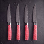 Sango 4-Piece Steak Knife Set