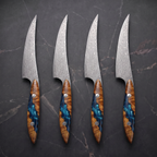 Kagerou 4-Piece Steak Knife Set