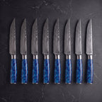 Aoshio 8-Piece Steak Knife Set