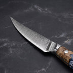 Seiryu Petty Utility Knife - macro
