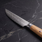 Shikkoku Steak Knife