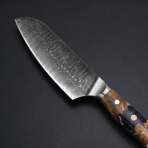 Seiryu Santoku All-Purpose Knife - macro