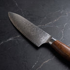 Fubuki Gyuto Chef Knife - macro