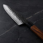 Reppu Gyuto Chef Knife - macro