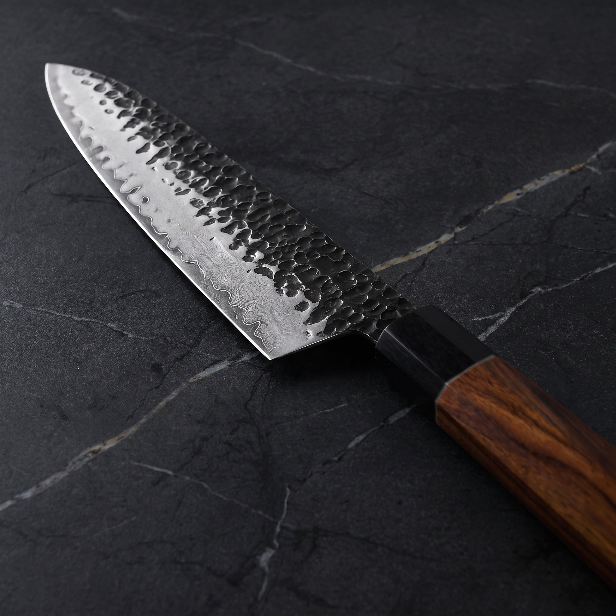 Reppu Gyuto Chef Knife - macro