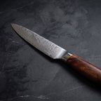 Fubuki Petty Utility Knife - macro