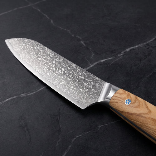 Isshin Santoku All-Purpose Knife - macro