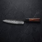 Reppu Knife Set - Gyuto
