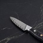 Kinsei Paring Knife