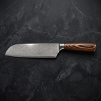 Ayasugi 10-Piece Knife Set