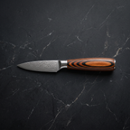 Ayasugi 10-Piece Knife Set