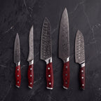 Hiiro 5-Piece Knife Set