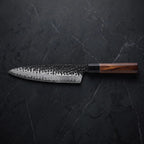 Reppu Knife Duo (Gyuto & Kiritsuke) · function-a