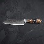 Seiryu Knife Duo (Kiritsuke & Santoku) · function-b