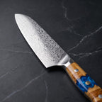Seiryu Santoku All-Purpose Knife – blade detail
