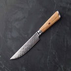Shikkoku Steak Knife