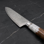 Shirakumo Gyuto Chef Knife