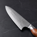 Akamori Gyuto Chef Knife